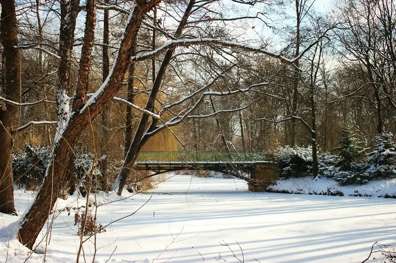 Snö och fruset vatten i Tiergarten i Berlin