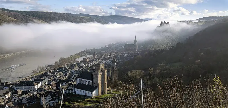 Oberwesel och Rhendalen i höstdimma