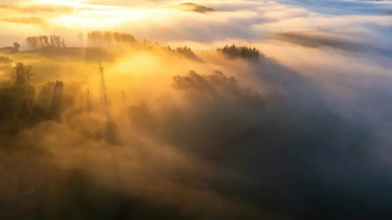 Morgondimma och skog i Sauerland