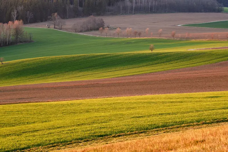Jordbrukslandskap i Erzgebirge