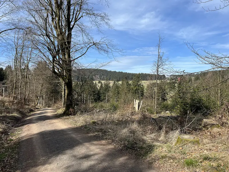 Rennsteigleden genom Thüringer Wald