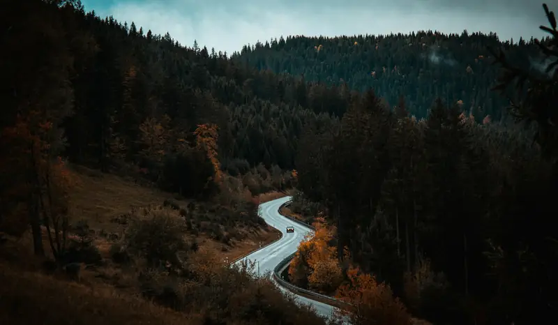 Skogsväg vid Bärental i Schwarzwald