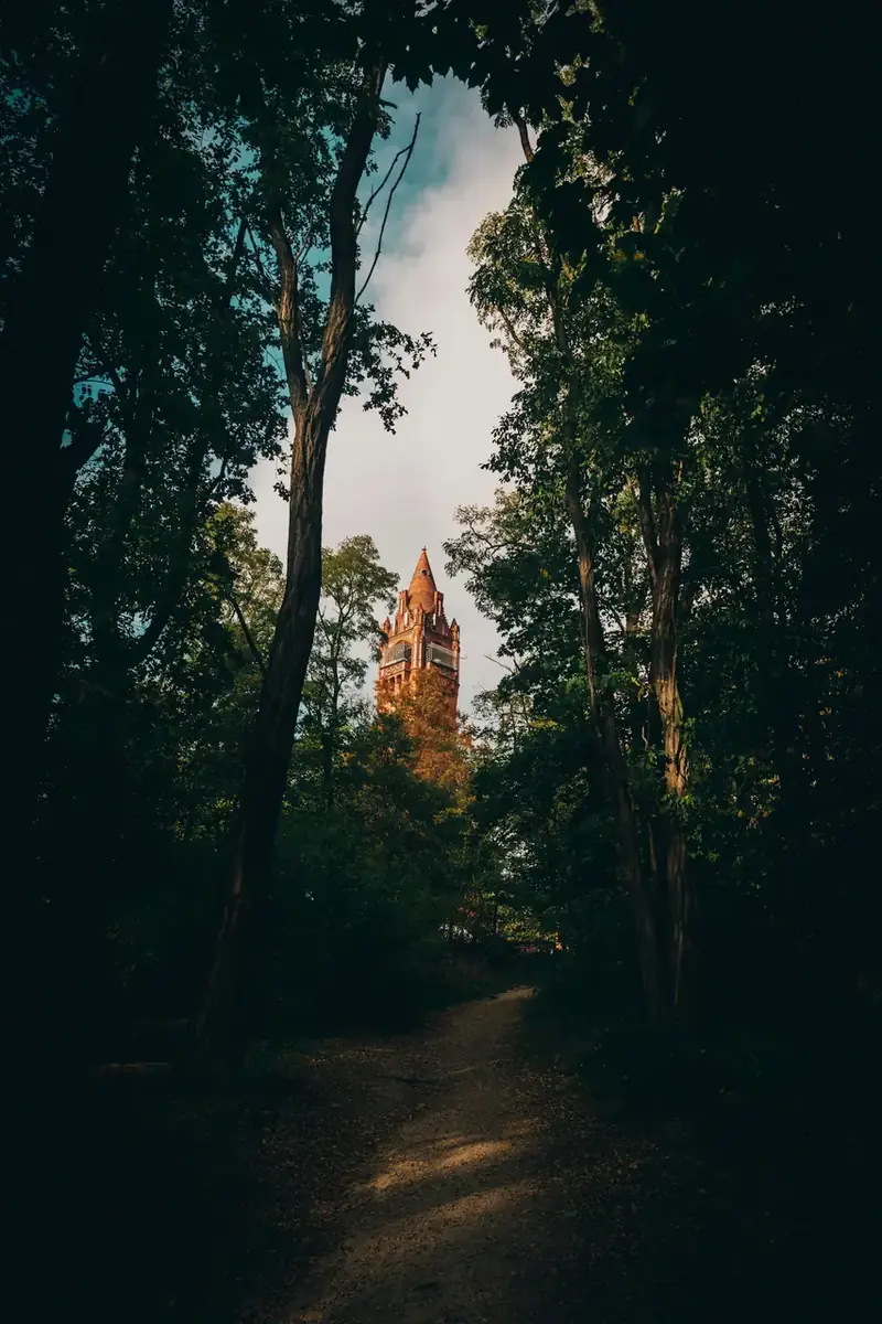 Skogsstig nära Grunewaldturm i Berlin